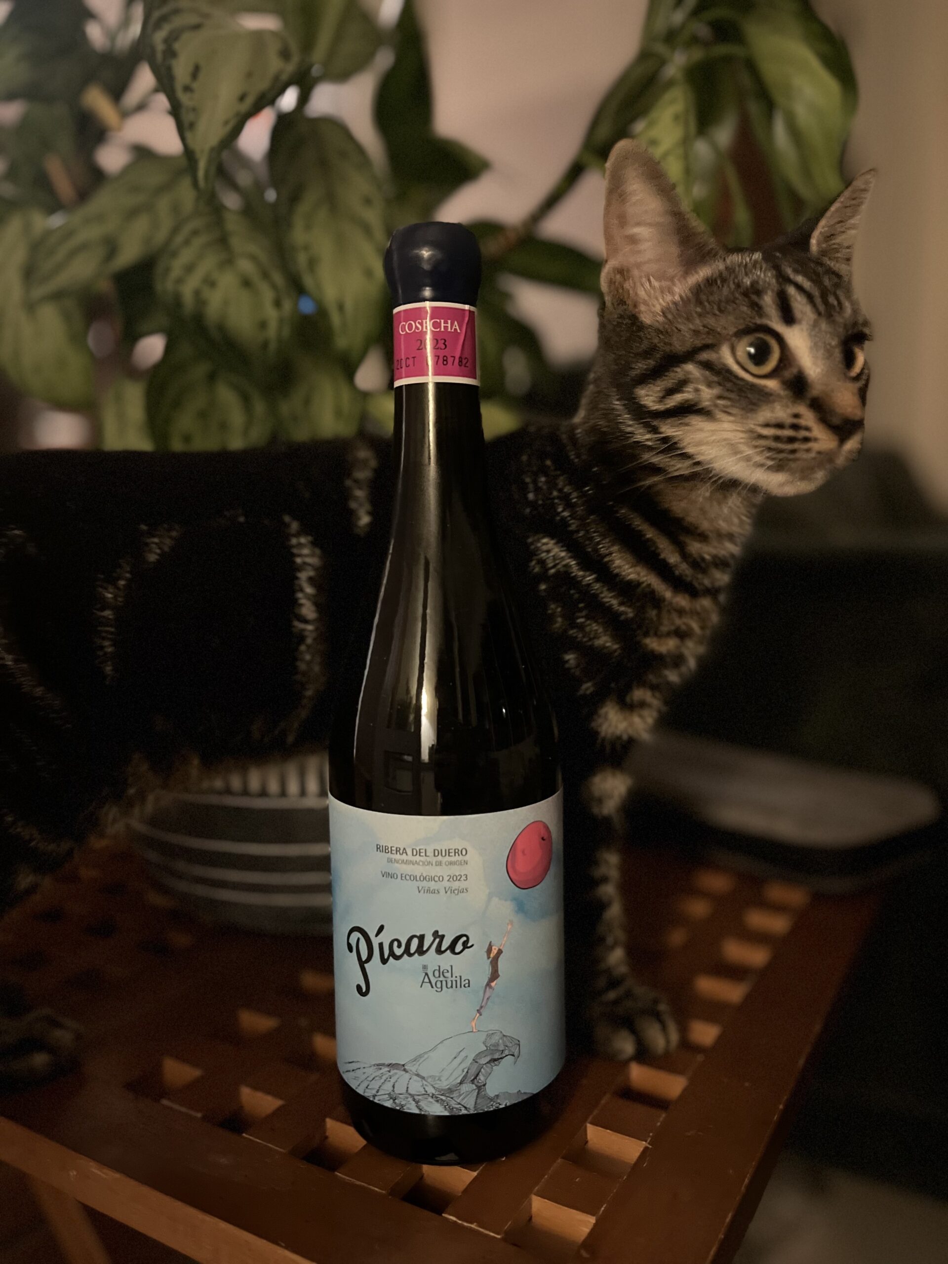 Picaro Viñas Viejas, Ribera del Duero, 2023
