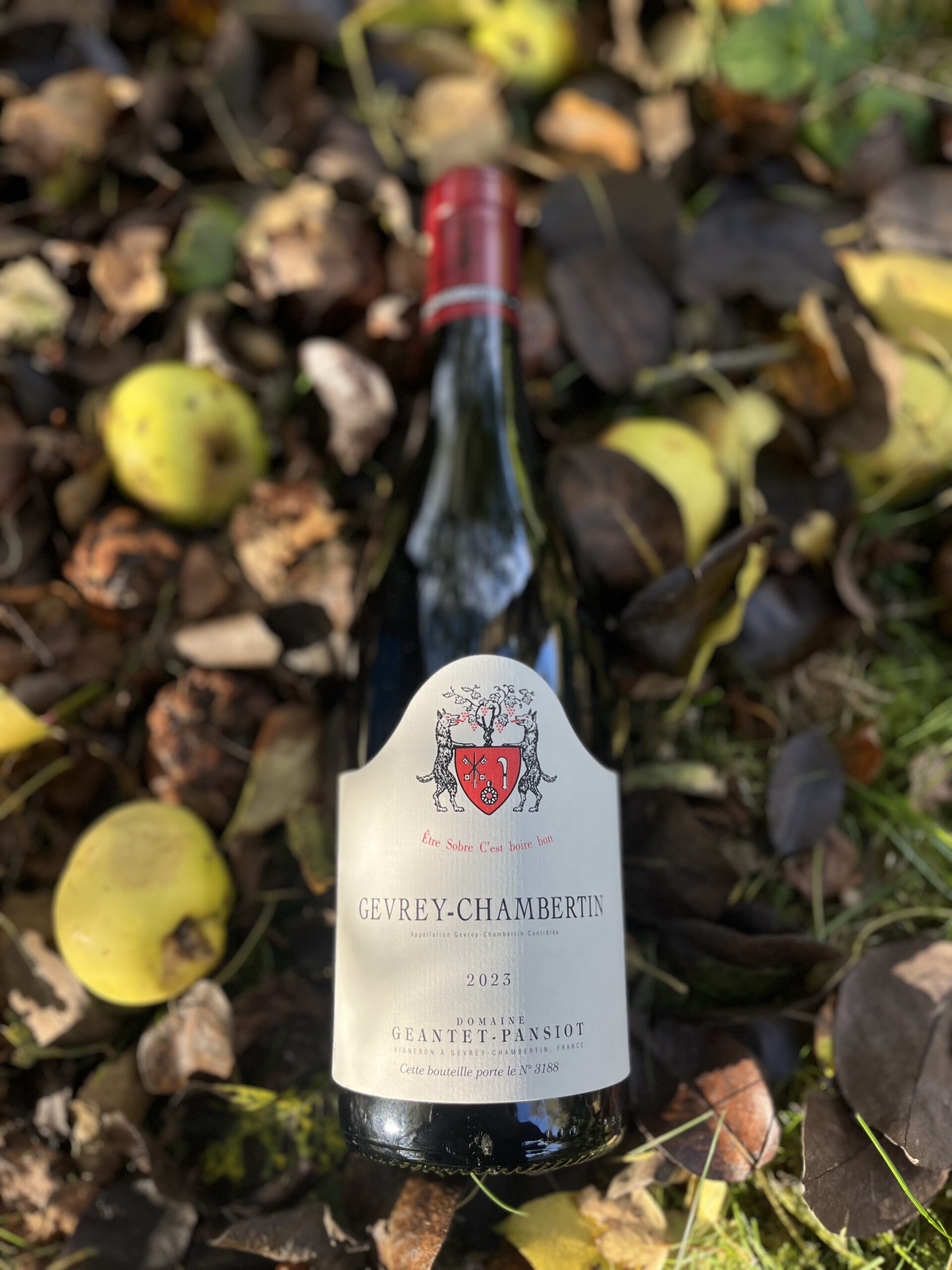 Gevrey-Chambertin, Domaine Geantet Pansiot, 2023