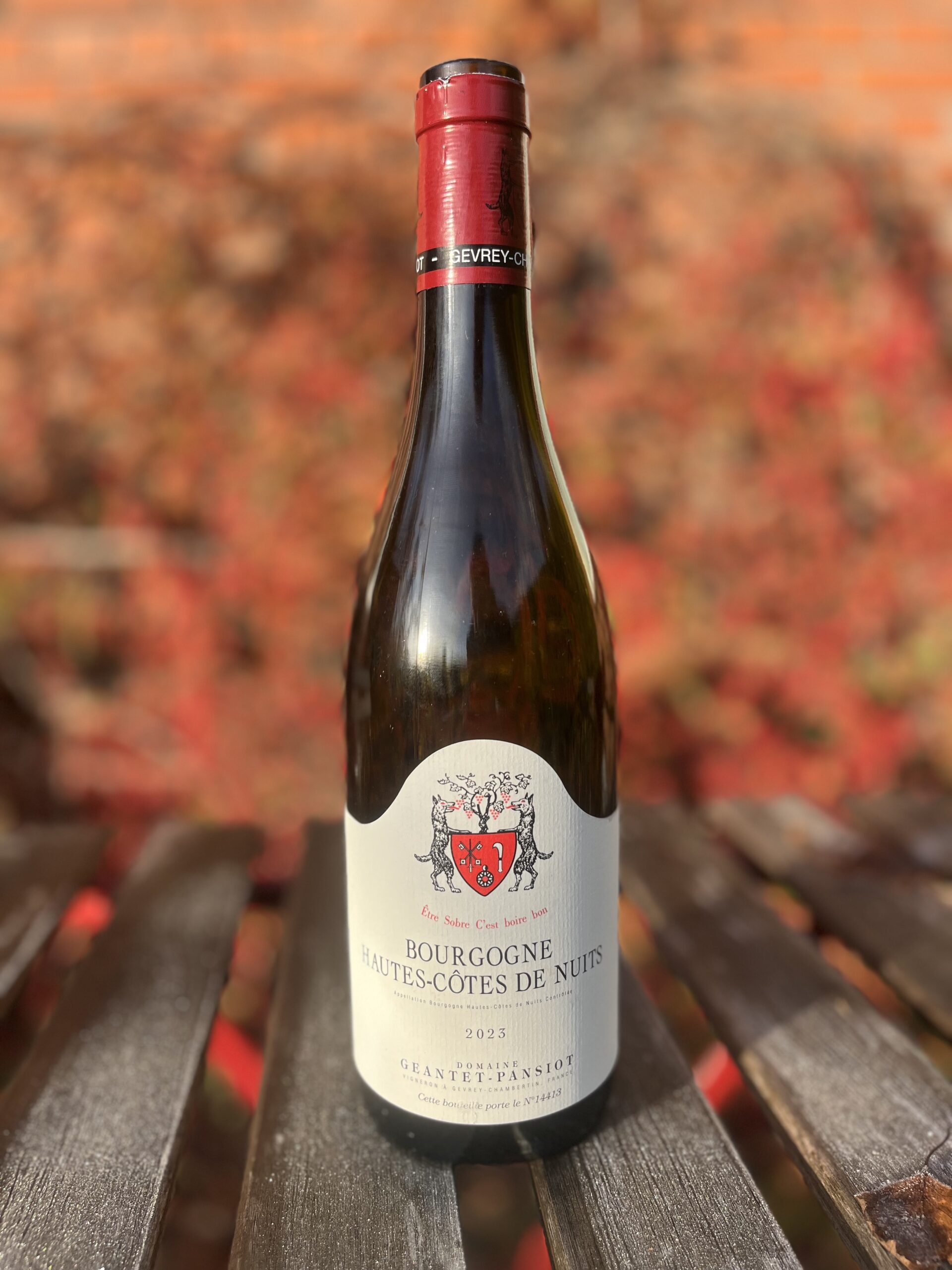 Hautes-Côtes de Nuits, Domaine Geantet Pansiot, 2023