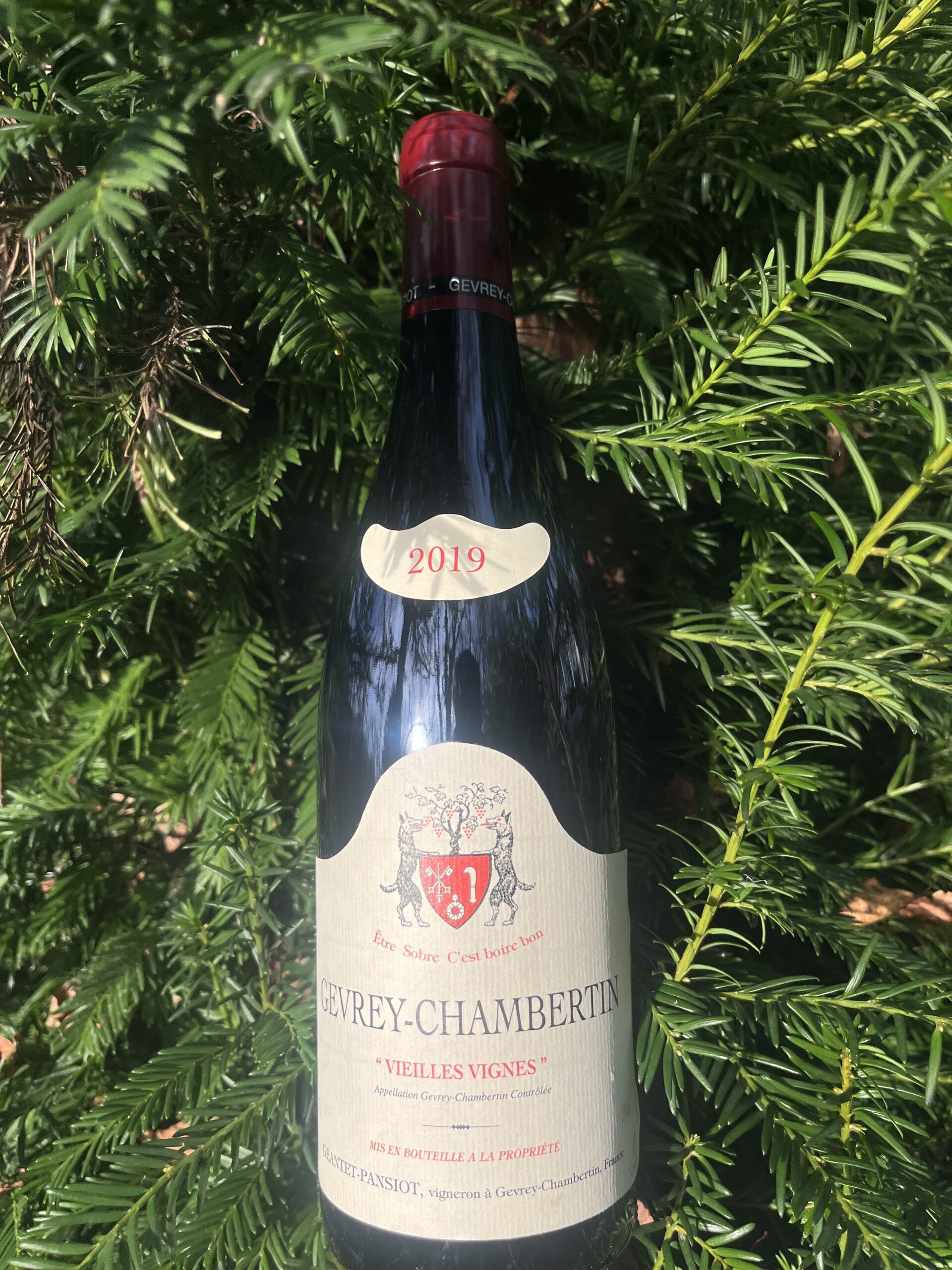 Gevrey Chambertin Vieilles Vignes, 2019