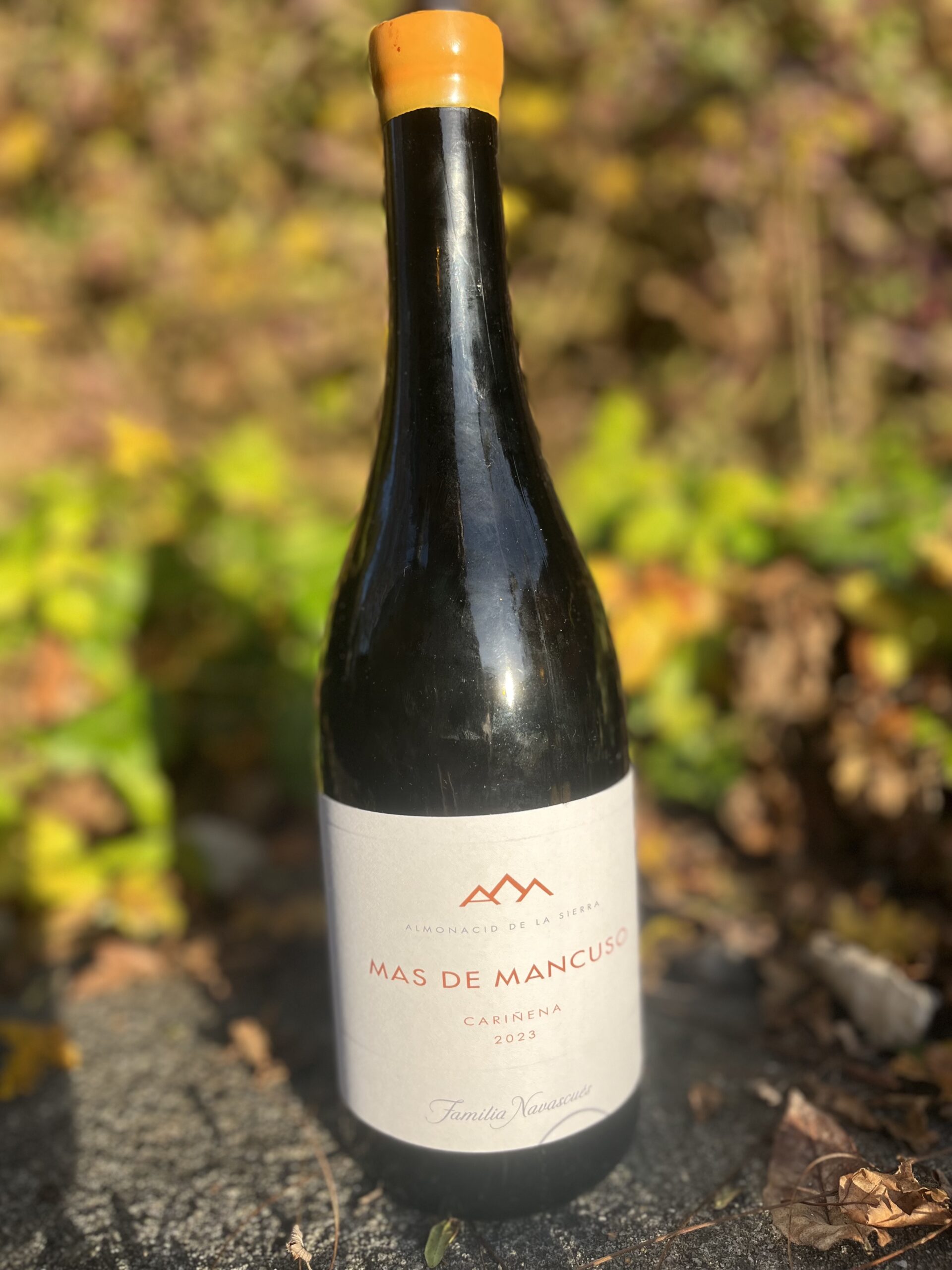 Mas de Mancuso, Cariñena Tinto, 2023