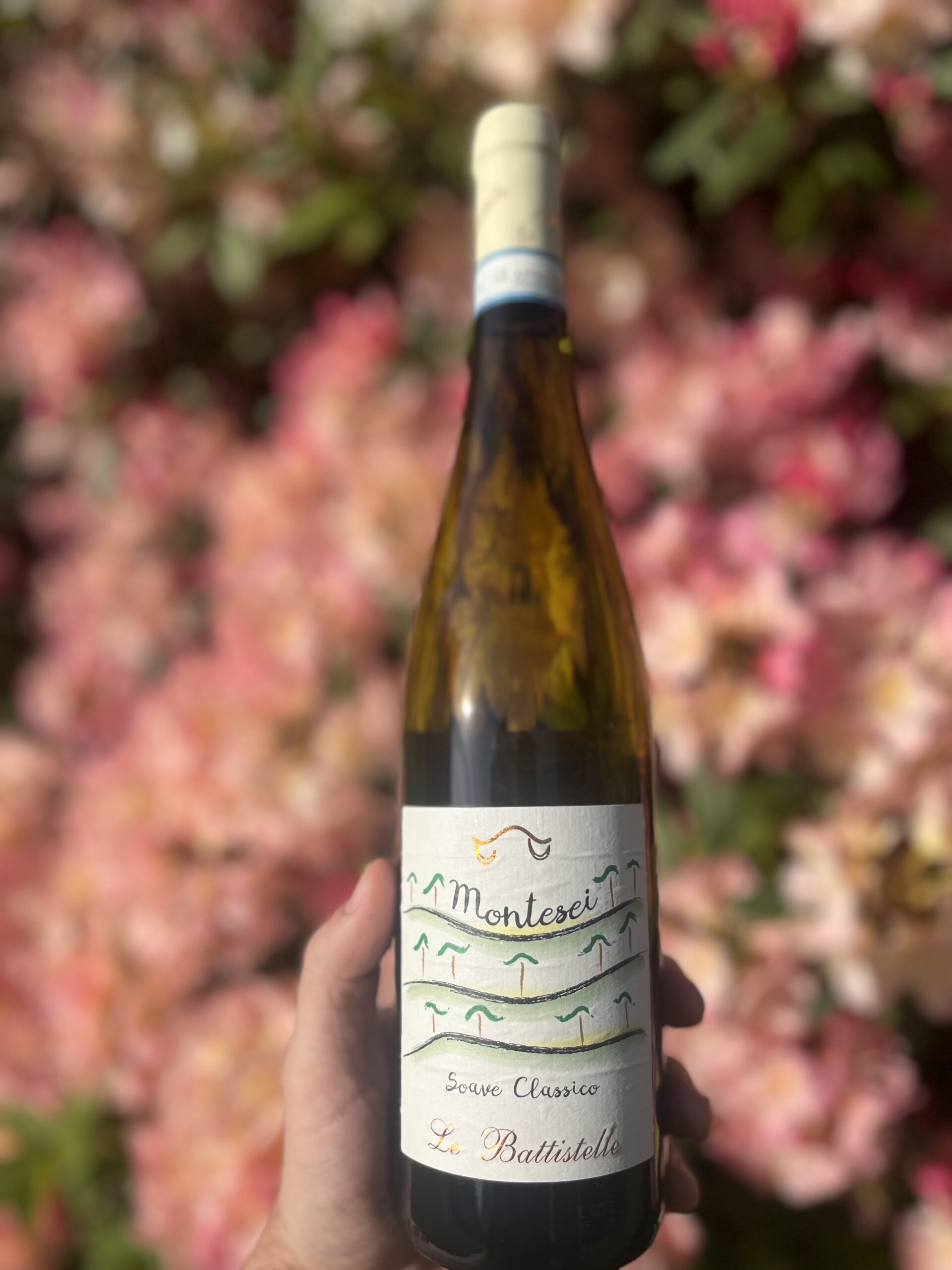 Montesei, Soave Classico, 2025