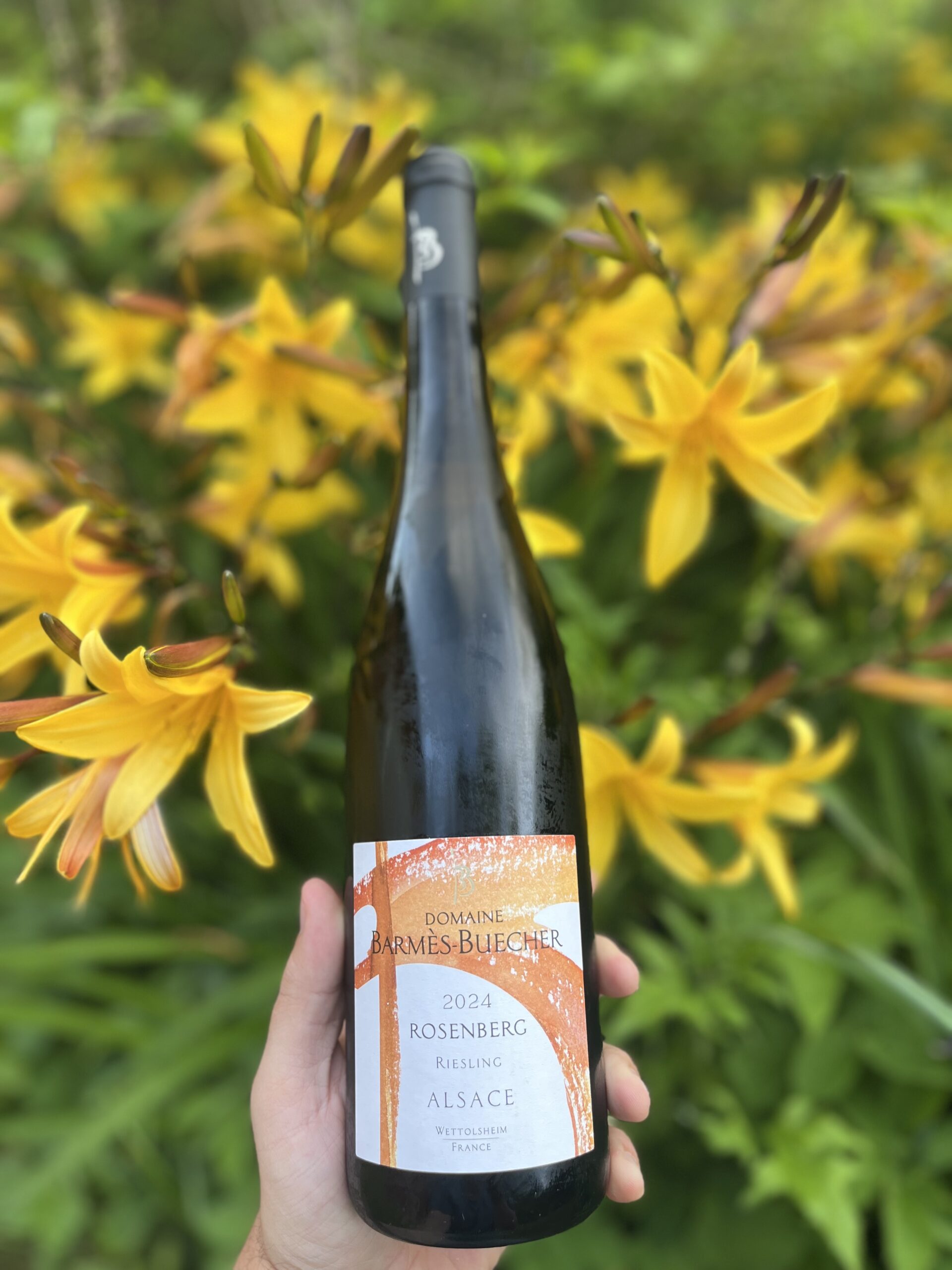 Barmes-Buecher Rosenberg Riesling, 2024