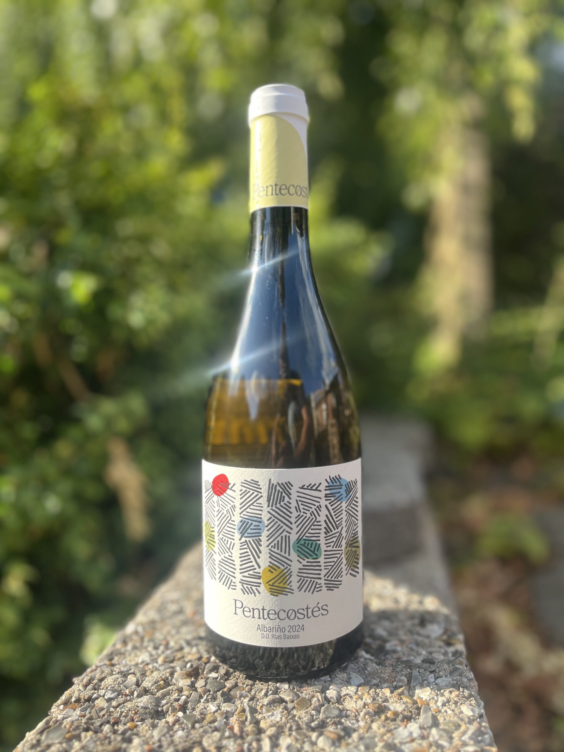 Bodegas Pentecostés Albariño, 2024