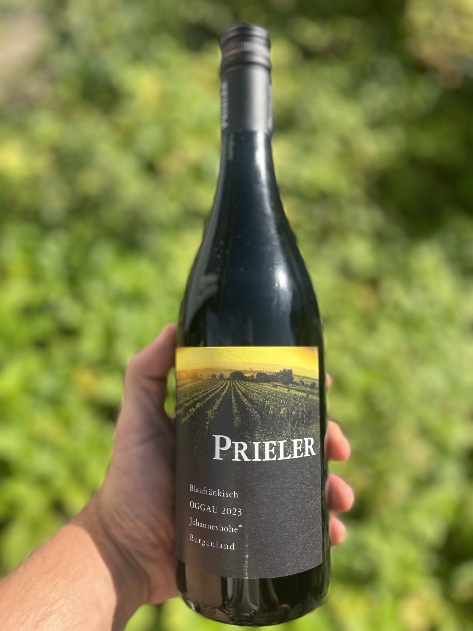 Weingut Prieler Blaufränkisch Oggau, 2023