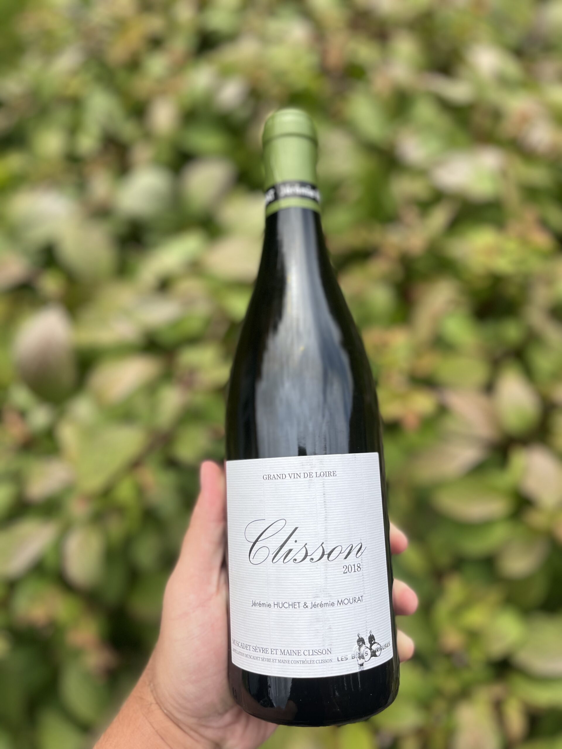 Jérémie Huchet, Les Bêtes Curieuses, Cru Clisson, 2018